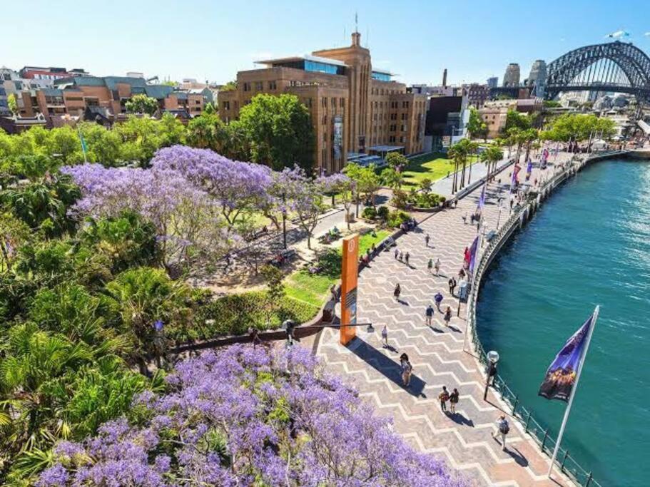 Stylish 1 Bedroom Best Location Sydney Exteriör bild